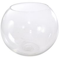 Florero-pecera-de-vidrio-245x85x16cm