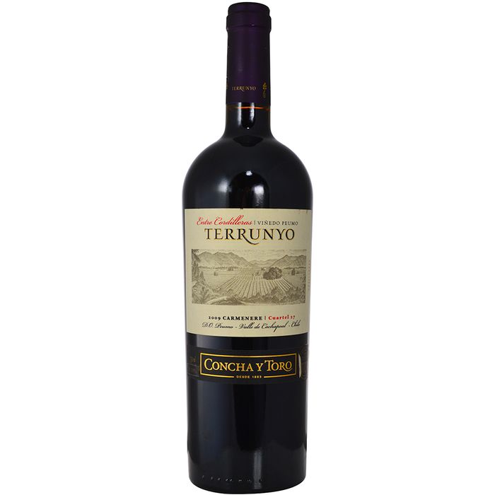 Tinto-Carmenere-TERRUNYO