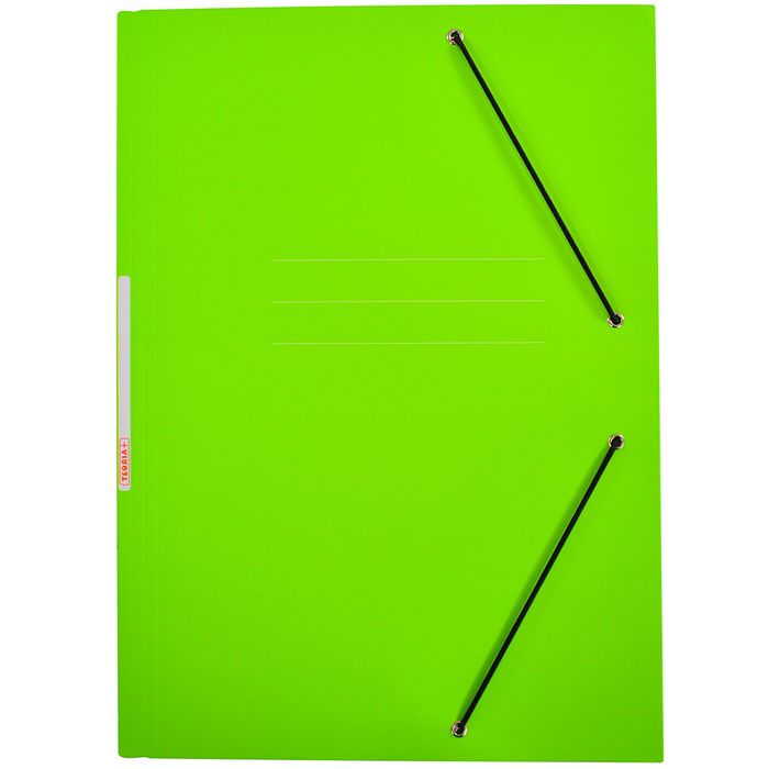 Carpeta-TEORIA--con-elastico-carton-verde