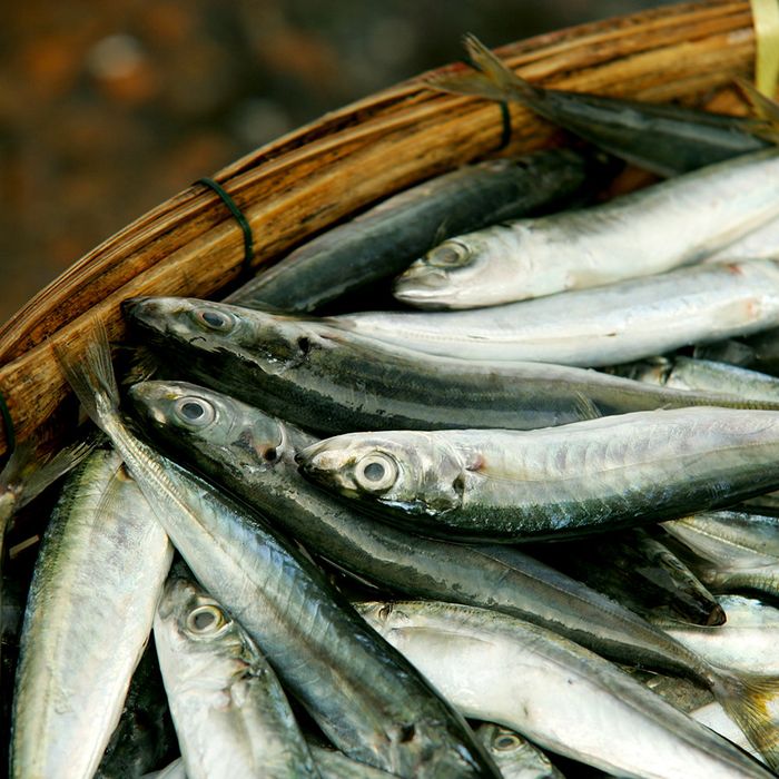 Anchoa-Entera-el-kg