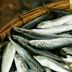 Anchoa-Entera-el-kg