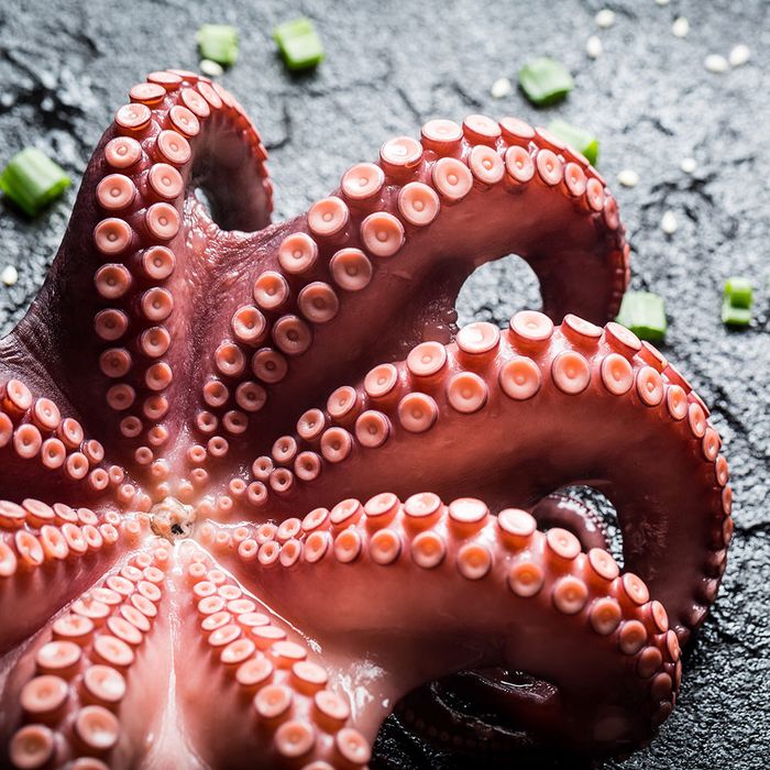 Pulpo-Cocido-En-Trozo-el-kg Pulpo-Cocido-En-Trozo-el-kg