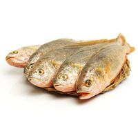 Filet-de-Corvina-Negra--kg