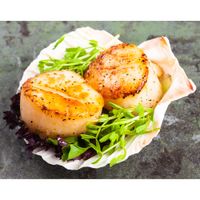 Cayo-de-Vieyra-40-50-el-kg