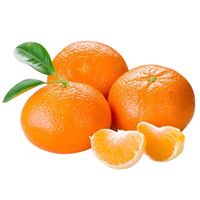 Mandarina-Nova-especial