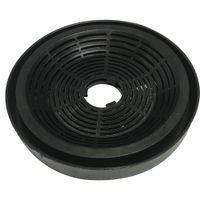 Filtro-de-carbon-Delne-Mod.-16891-activado