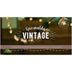 Guirnalda-vintage-7.40m-20-lamparas-7w