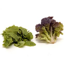 Mix-de-lechugas