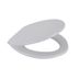 Asiento-inodoro-universal-gris-oval-----------------