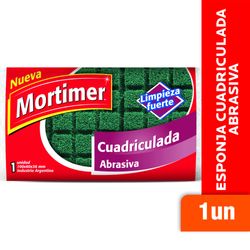 Fibra-Esponja-MORTIMER-Cuadriculada-Abrasiva