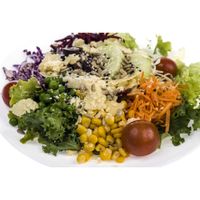Salad-bar-x-200g
