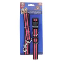 Set-collar-y-correa-para-perro-PUPPY