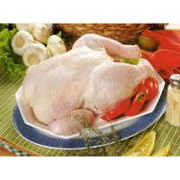 Pollo-con-menudos-congelado-x-25-kg