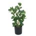 Planta-artificial-45cm-verde