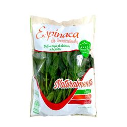 Espinaca-Envasada-Nuestra-Quinta-bl.-150-g