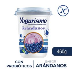 Yogurt-YOGURISIMO-Natural-con-arandanos-pt.-460-g