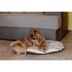 Almohadon-para-gatos-o-perros-Scott-55x36-cm