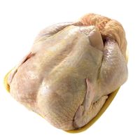 Pollo-sin-menudos-AVICOLA-DEL-OESTE-x-22-kg