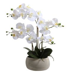 Planta-artificial-Phalaenopsis-56-cm