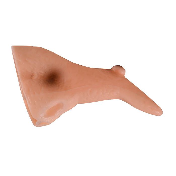 Nariz-de-bruja-goma