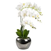 Orquidea-con-maceta-68-cm