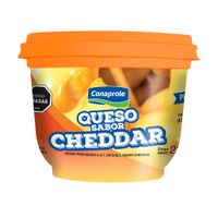 Queso-untable-cheddar-CONAPROLE-Pt.-230g
