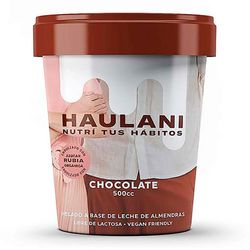 Helado-Vegano-HAULANI-Chocolate-450-ml