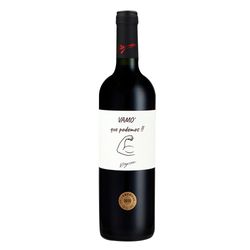 Vino-tinto-Cabernet-Sauvignon-frases-H.-STAGNARI-75-ml