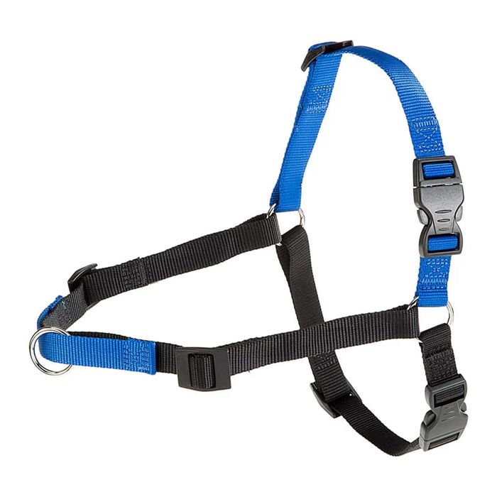 Arnes-de-paseo-adiestramiento-perros-M-L-26-33-cm Arnes-de-paseo-adiestramiento-perros-M-L-26-33-cm