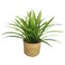 Planta-artificial-con-maceta-d165x40-cm