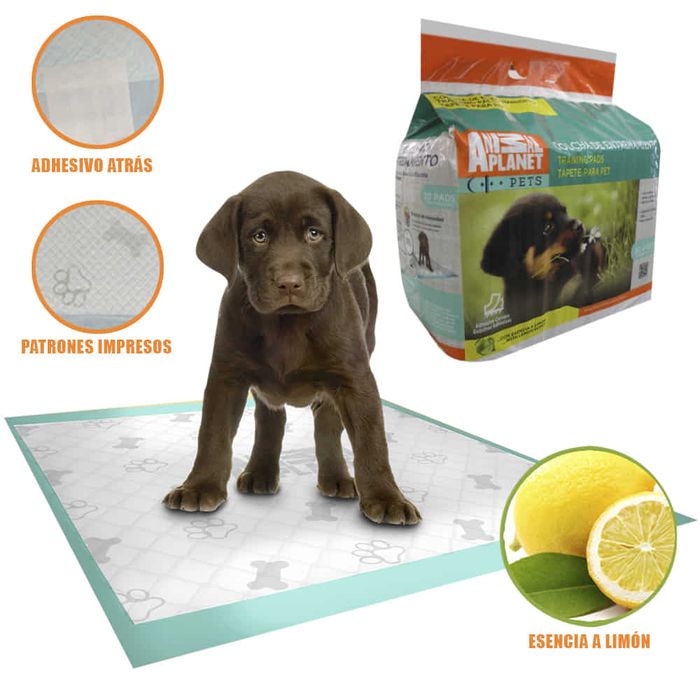 Pad-de-entrenamiento-30-piezas-60x58-cm Pad-de-entrenamiento-30-piezas-60x58-cm