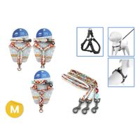 Arnes---correa-set-talle-M