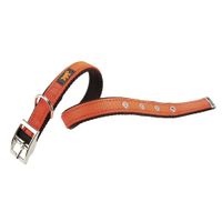 Collar-de-nylon-para-perros-Dual-cf25-53-anaranjado