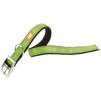 Collar-de-nylon-para-perros-Dual-cf20-43-verde