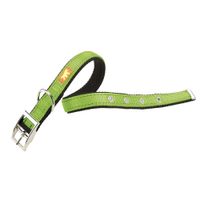Collar-de-nylon-para-perros-Dual-cf25-53-verde
