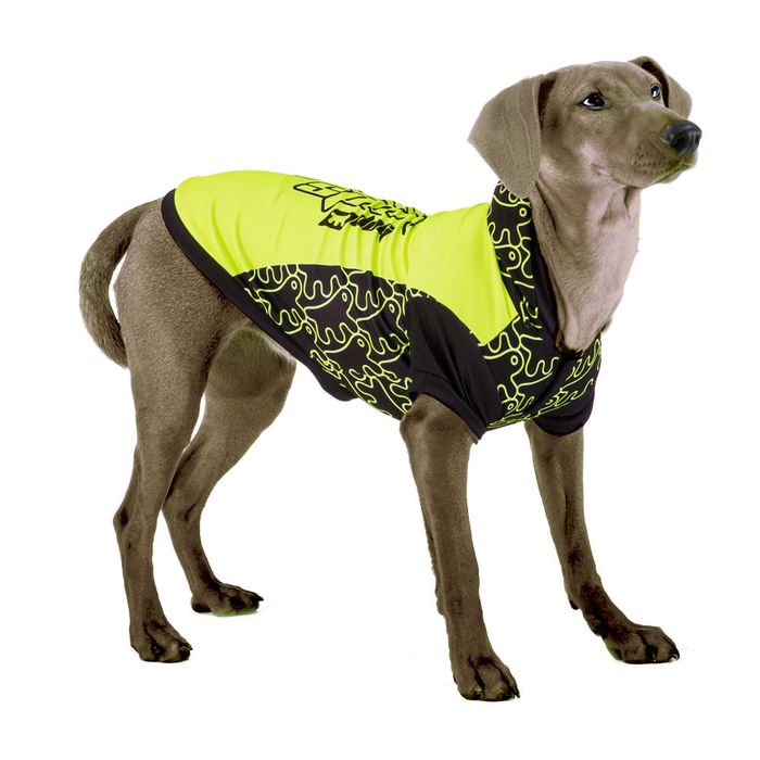 Trainer-TG-XXL-Maglietta Trainer-TG-XXL-Maglietta