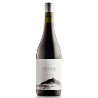 Vino-Tinto-Pinot-Noir-BOUZA-Pan-De-Azucar-750-ml