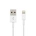 Cable-lightning-ARGOM-Mod.-ARGCB0037