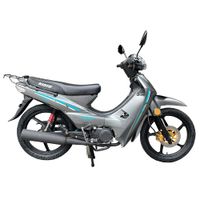 Moto-KIOTO-PL-110C---Gris-Turquesa
