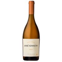 Vino-ambar-JOSE-IGNACIO-750-ml