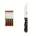 Cuchillos-jumbo-x4-polywood-Tramontina