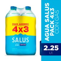 Pack-SALUS-con-gas-225-L-4x3