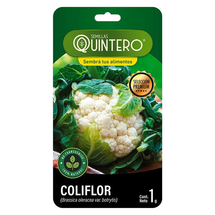 Sobre-de-semilla-de-coliflor-QUINTERO-1-g