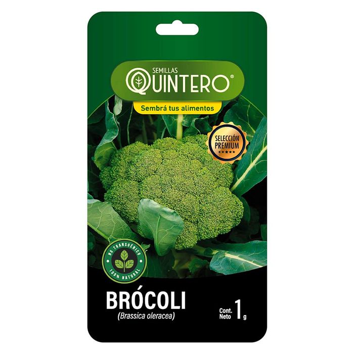 Sobre-de-semilla-de-brocoli-QUINTERO-1-g