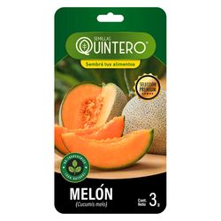 Sobre-de-semilla-de-melon-QUINTERO-3-g