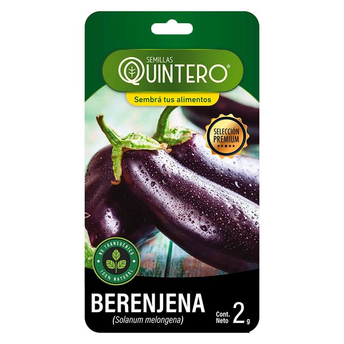 Sobre-de-semilla-de-berenjena-QUINTERO-2-g