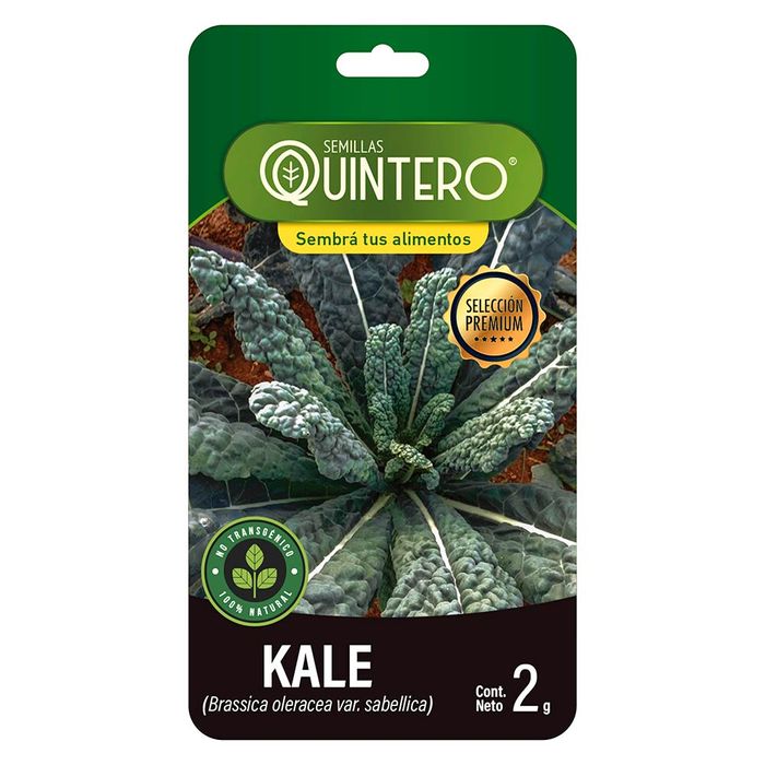 Sobre-de-semilla-de-kale-QUINTERO-2-g