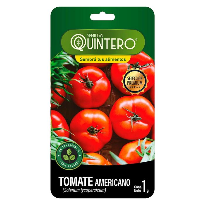 Sobre-de-semilla-de-tomate-americano-QUINTERO-1-g