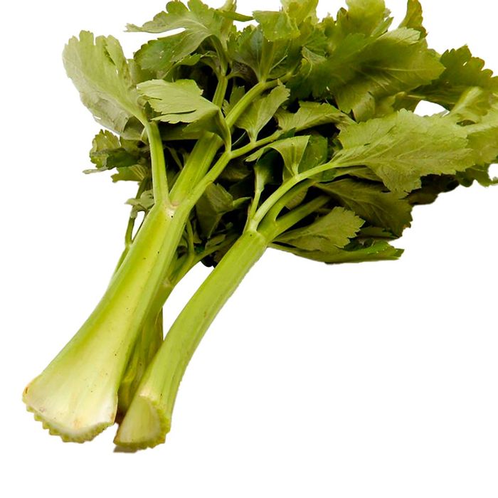 Apio-Gusto Apio-Gusto