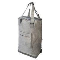 Bolso-plegable-con-ruedas-34x20-5x56-cm